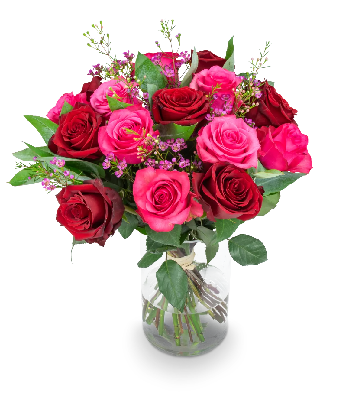 RED CLAIR_STREDNI_IMG_1425_eRGB.png